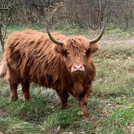 Harbour At Uitgeestermeer View Botel 3*