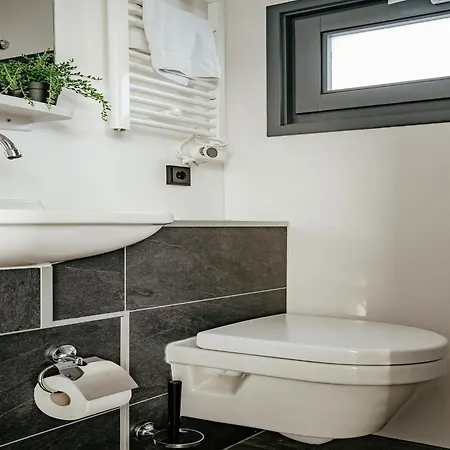 Harbour At Uitgeestermeer View