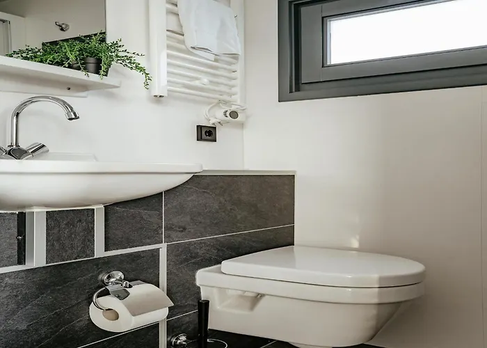 Harbour At Uitgeestermeer View